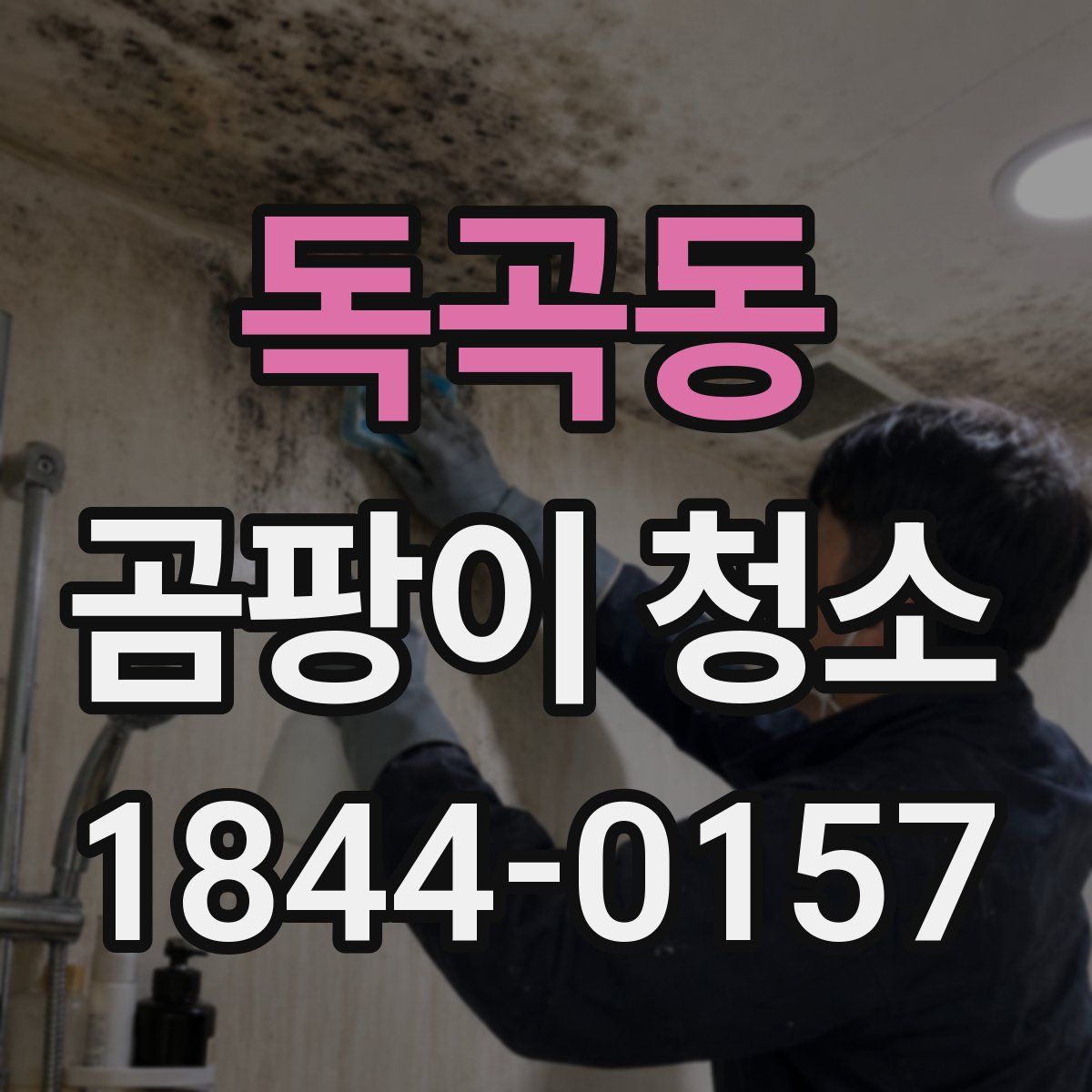 독곡동 곰팡이 청소