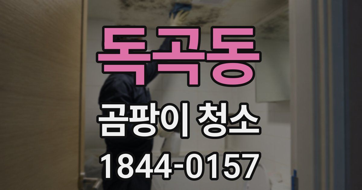 독곡동 곰팡이 청소