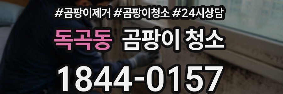 독곡동 곰팡이 청소