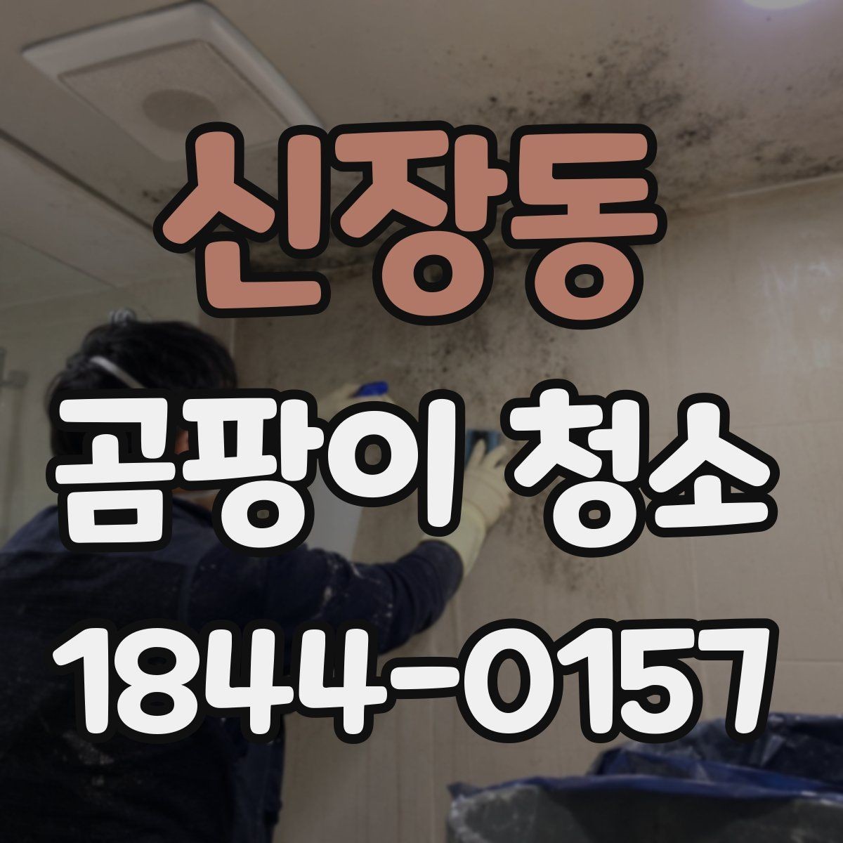 신장동 곰팡이 청소 베란다 창가에 생긴 흔적을 세척하는 포인트