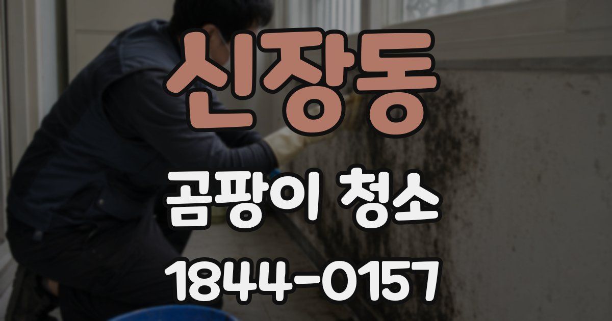 신장동 곰팡이 청소