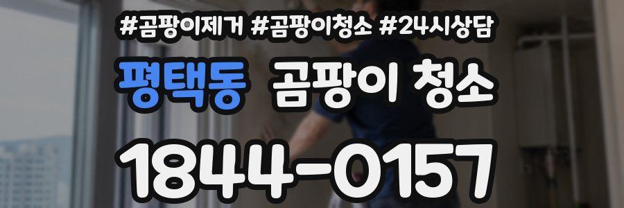평택동 곰팡이 청소