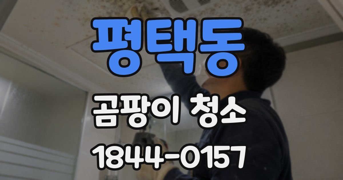 평택동 곰팡이 청소