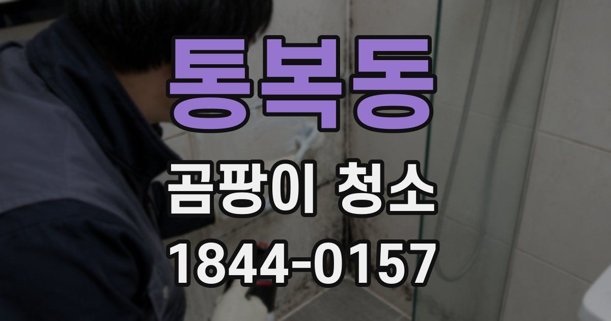 통복동 곰팡이 청소