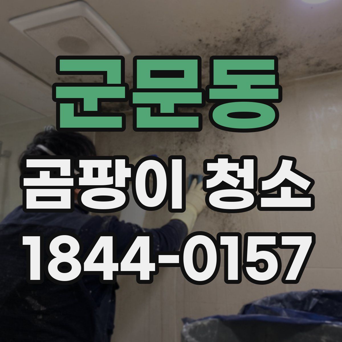 군문동 곰팡이 청소