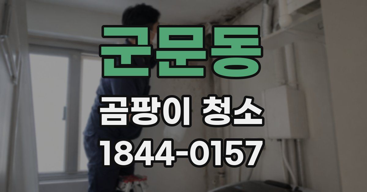 군문동 곰팡이 청소