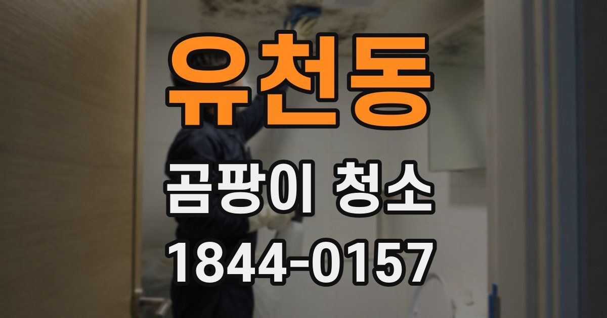 유천동 곰팡이 청소