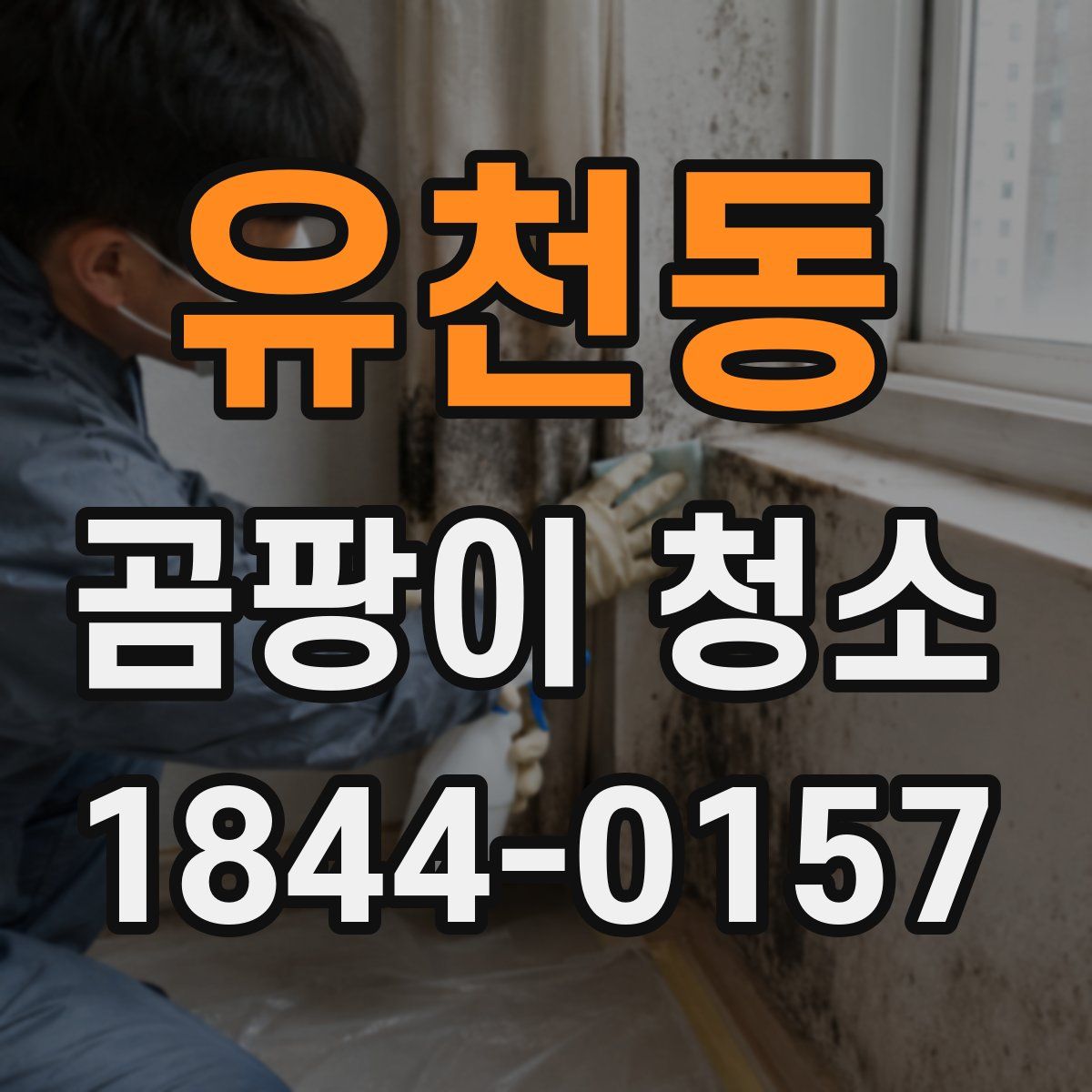 유천동 곰팡이 청소