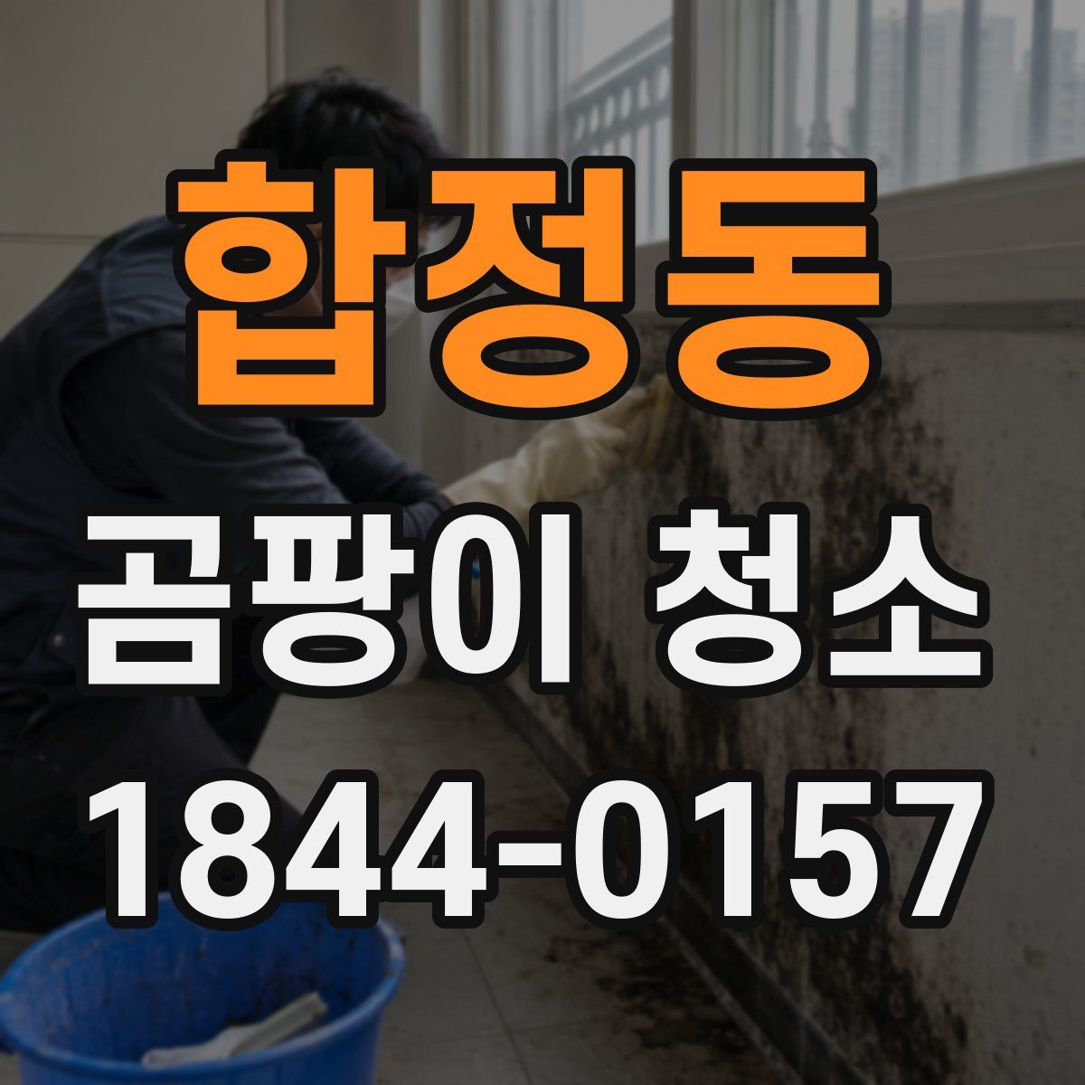 합정동 곰팡이 청소