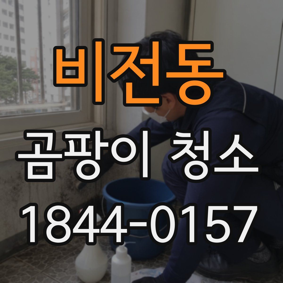비전동 곰팡이 청소