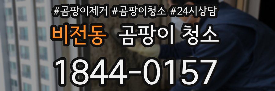 비전동 곰팡이 청소