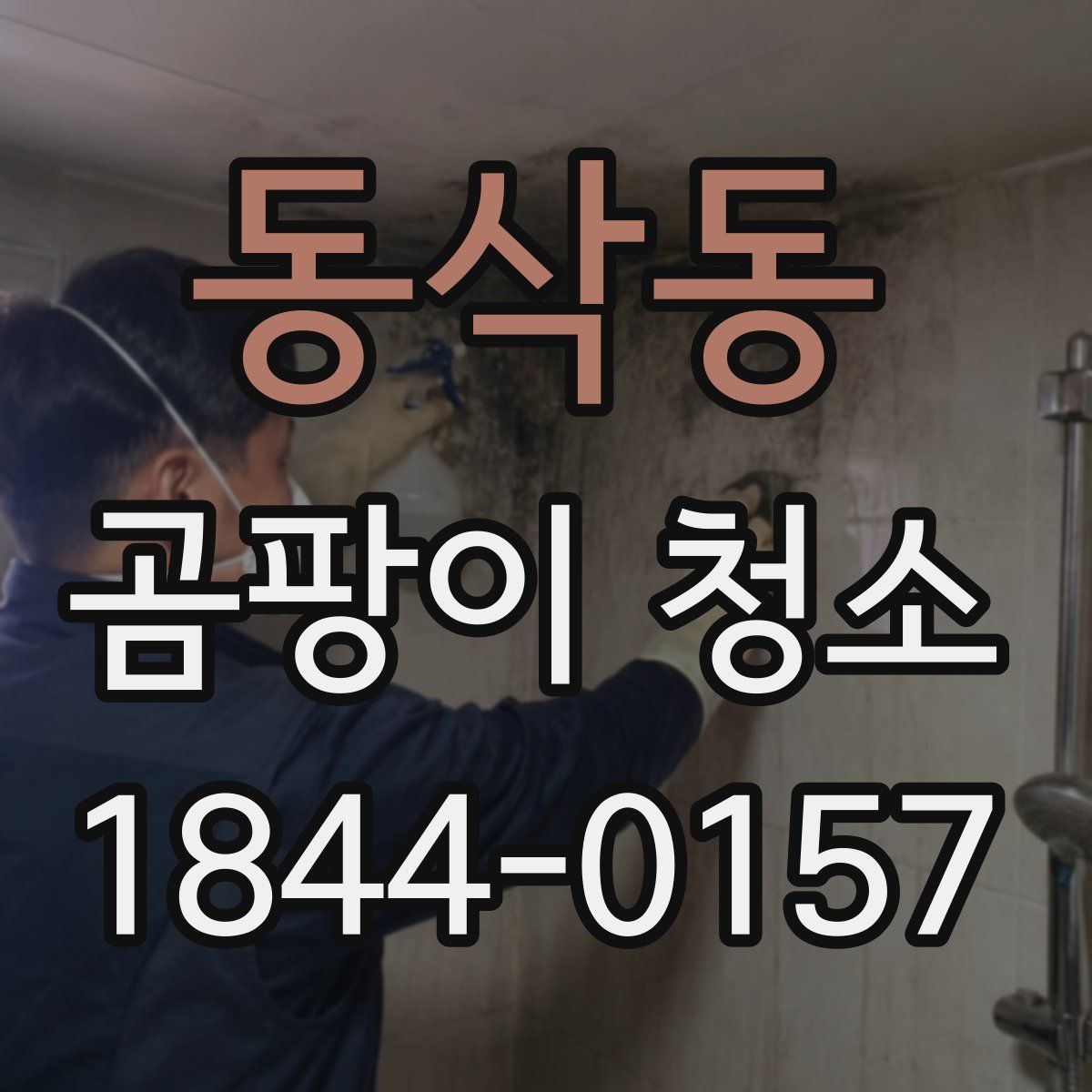 동삭동 곰팡이 청소