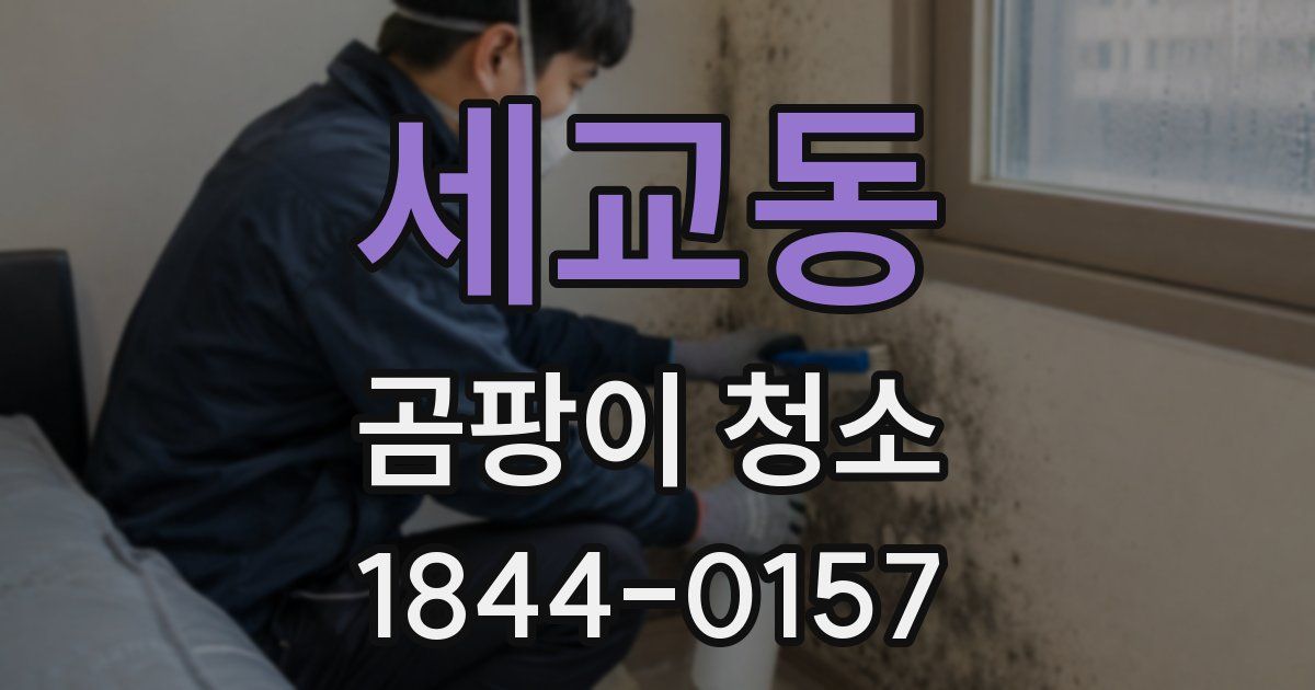 세교동 곰팡이 청소