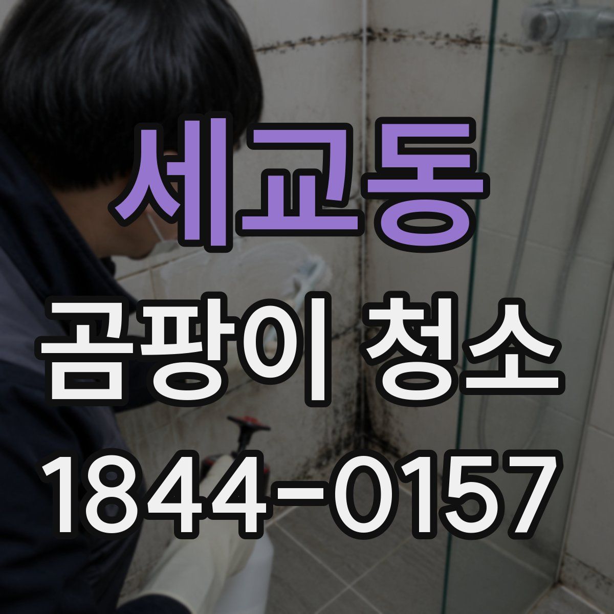 세교동 곰팡이 청소