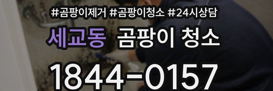 세교동 곰팡이 청소
