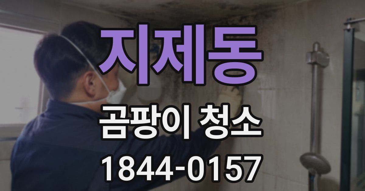 지제동 곰팡이 청소