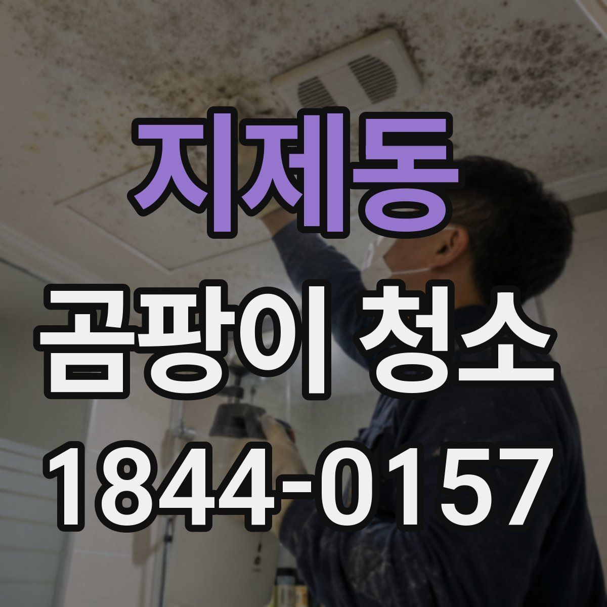 지제동 곰팡이 청소