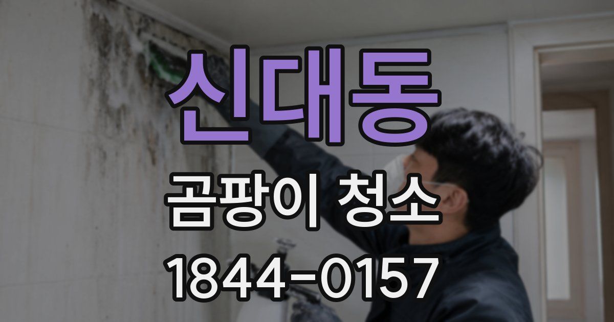 신대동 곰팡이 청소