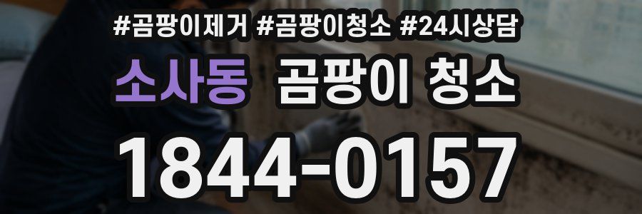 소사동 곰팡이 청소