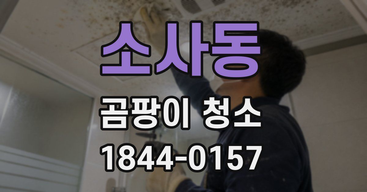 소사동 곰팡이 청소