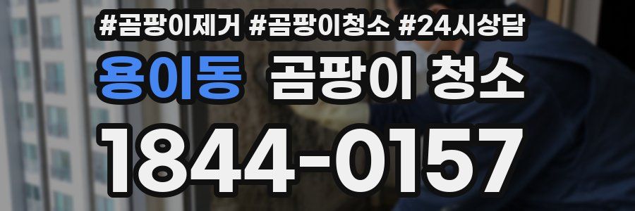 용이동 곰팡이 청소