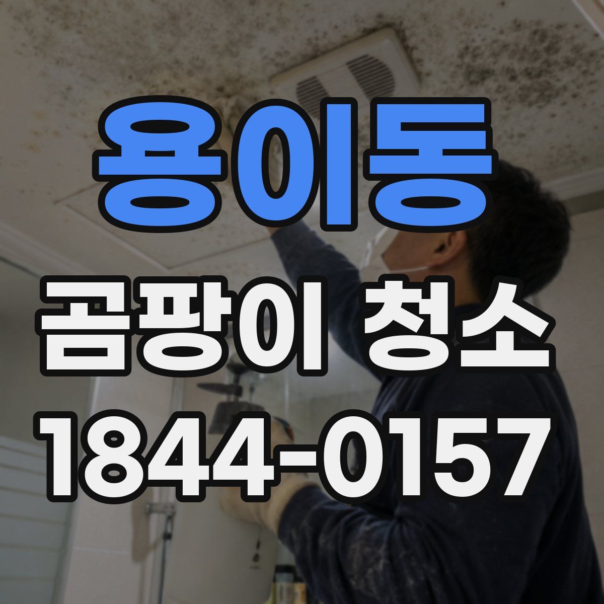용이동 곰팡이 청소