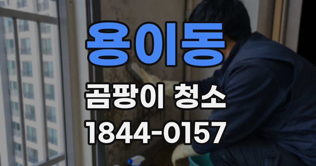 용이동 곰팡이 청소