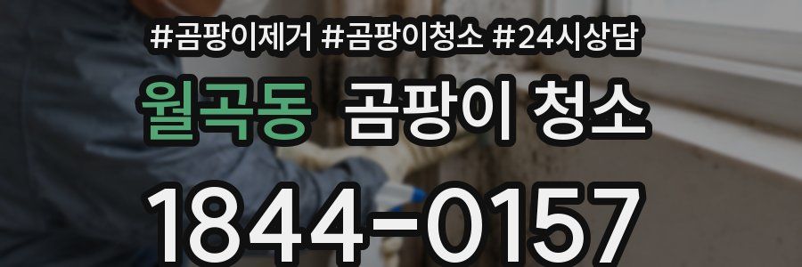 월곡동 곰팡이 청소
