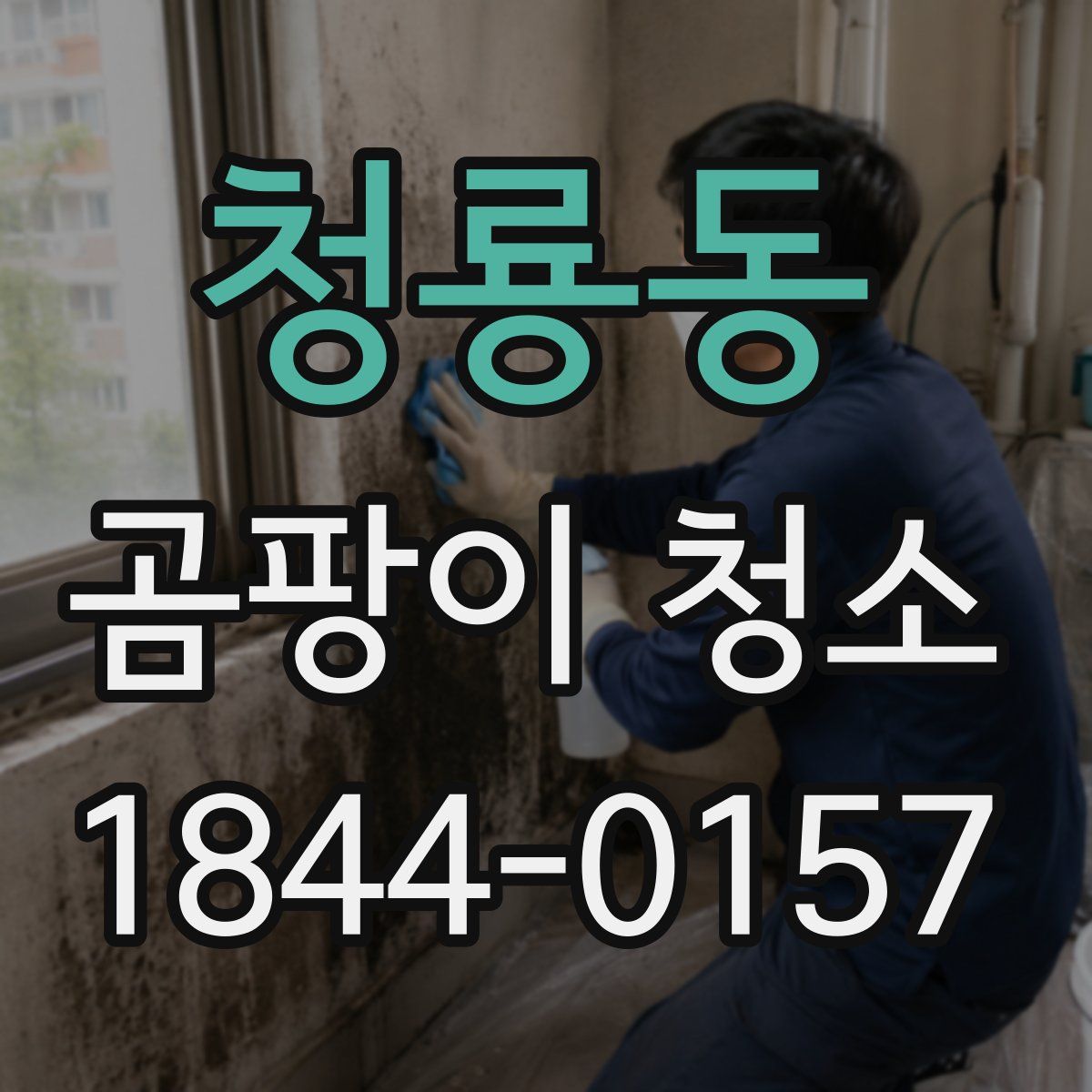 청룡동 곰팡이 청소