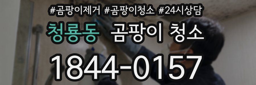 청룡동 곰팡이 청소