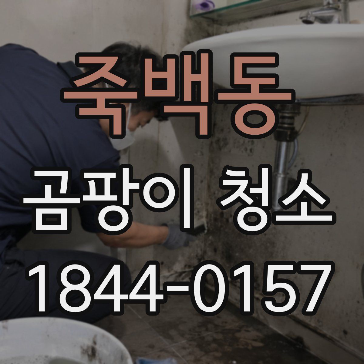 죽백동 곰팡이 청소