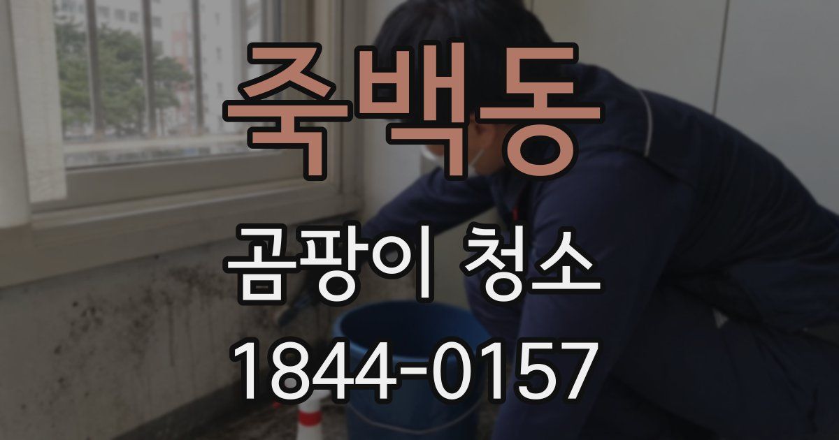 죽백동 곰팡이 청소