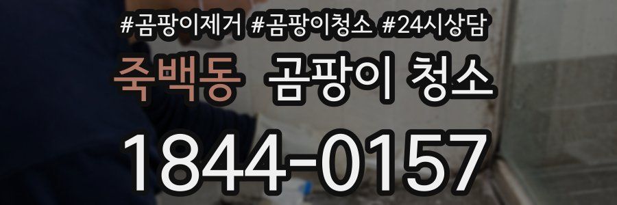 죽백동 곰팡이 청소