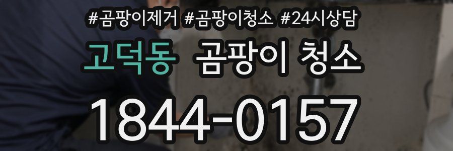 고덕동 곰팡이 청소