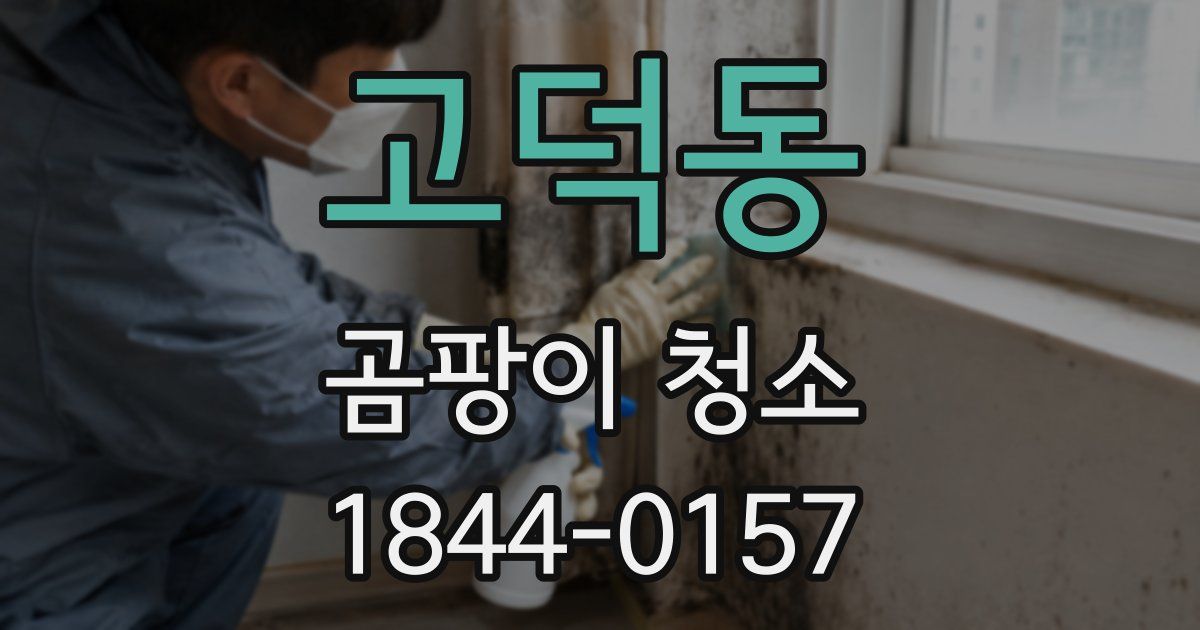 고덕동 곰팡이 청소