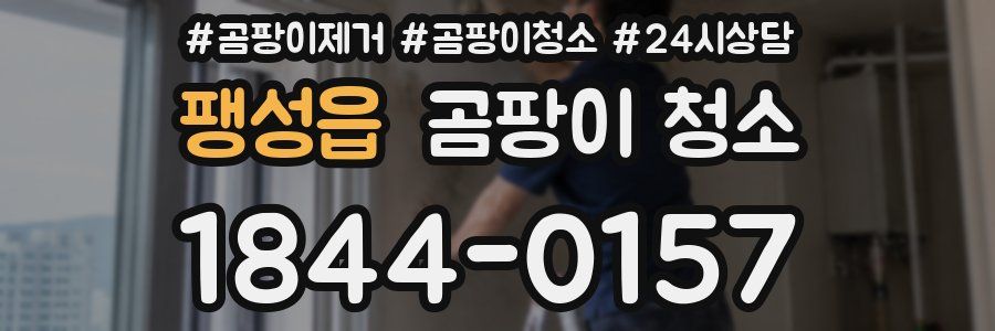 팽성읍 곰팡이 청소