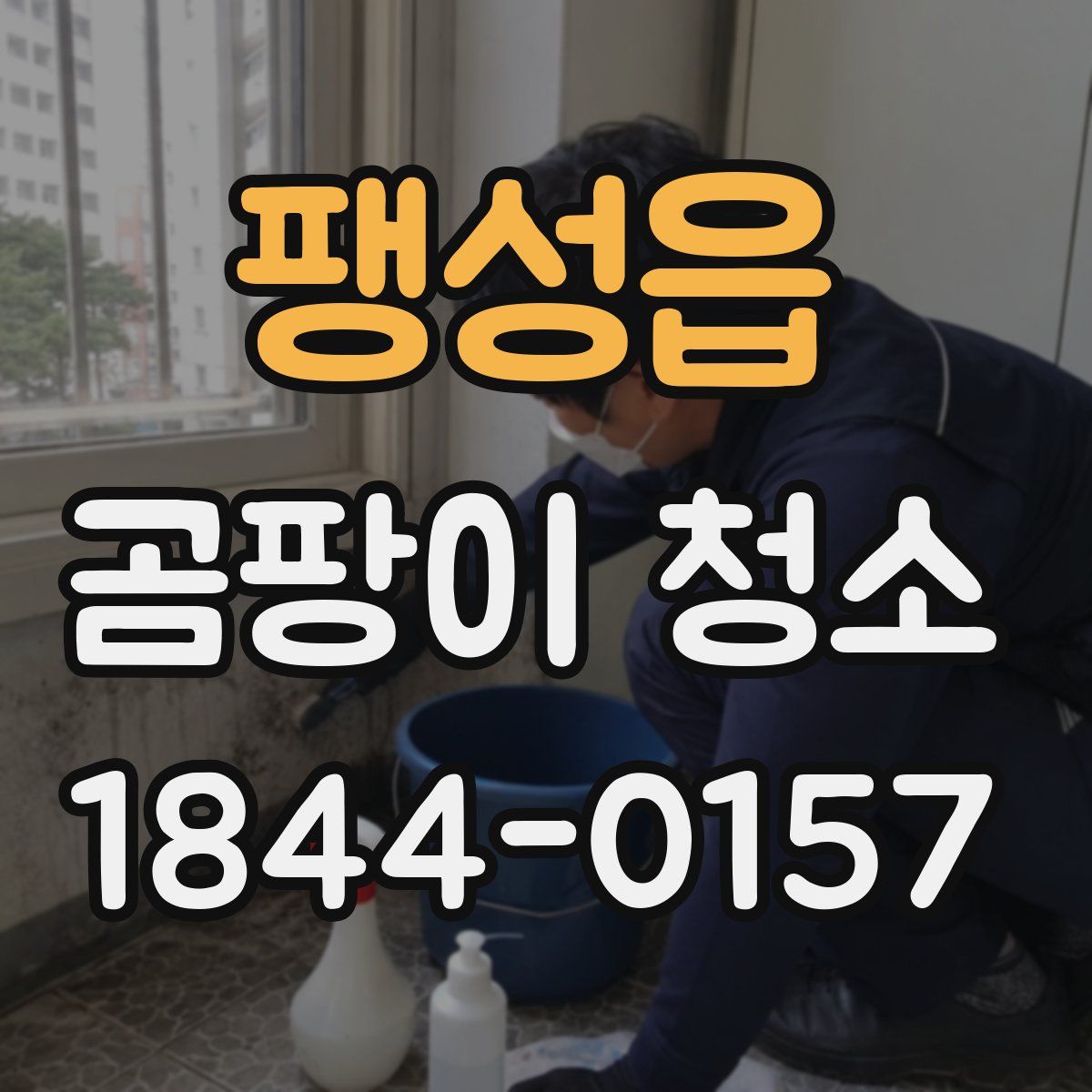 팽성읍 곰팡이 청소