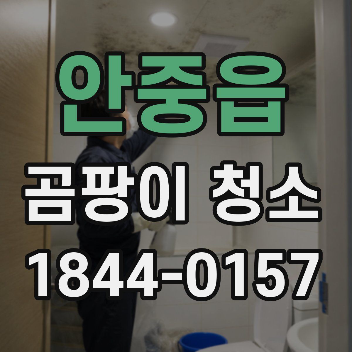 안중읍 곰팡이 청소
