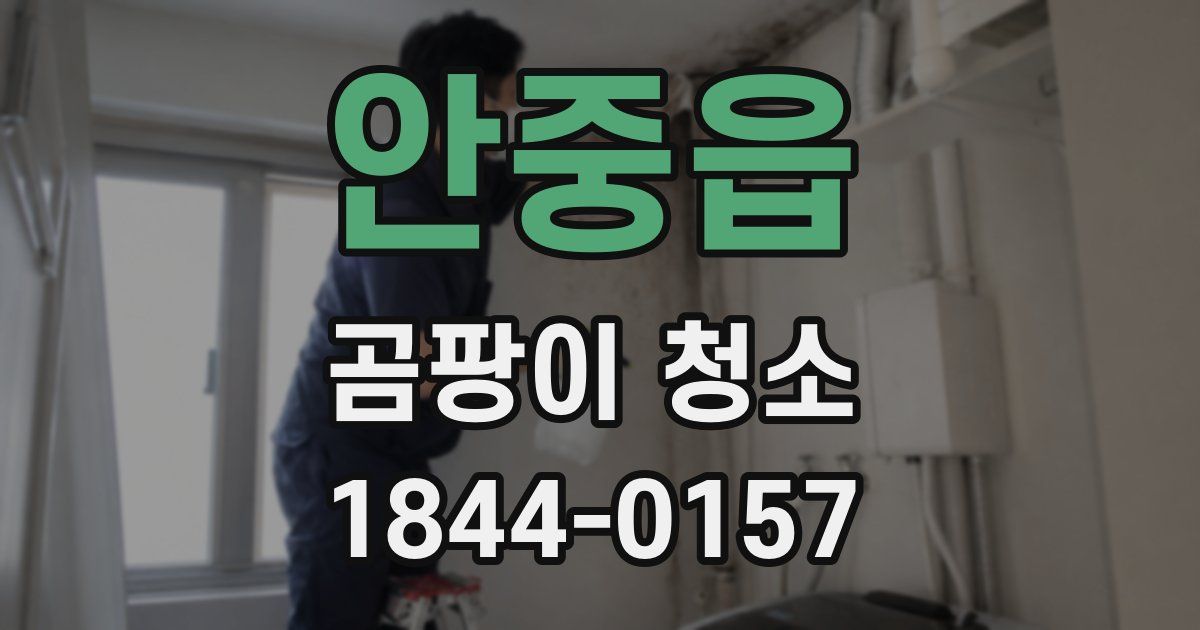 안중읍 곰팡이 청소
