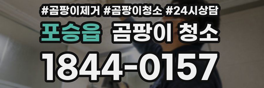 포승읍 곰팡이 청소