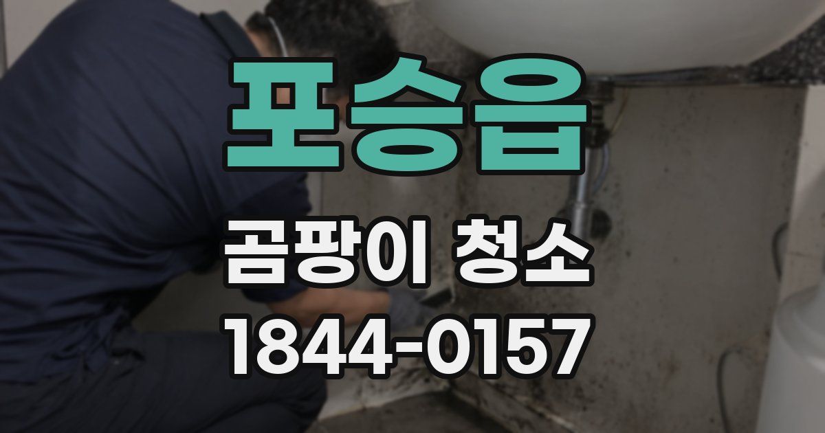포승읍 곰팡이 청소