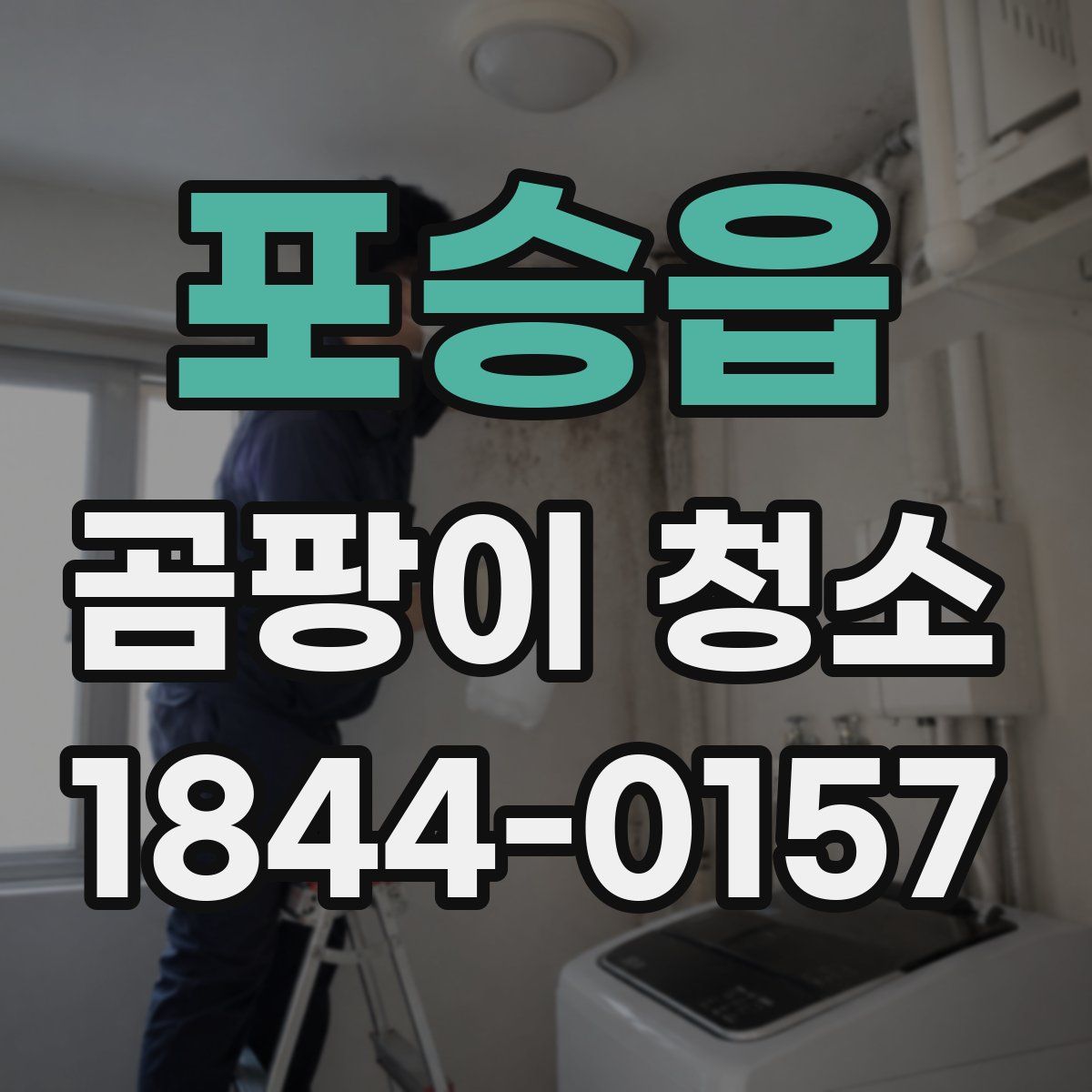 포승읍 곰팡이 청소