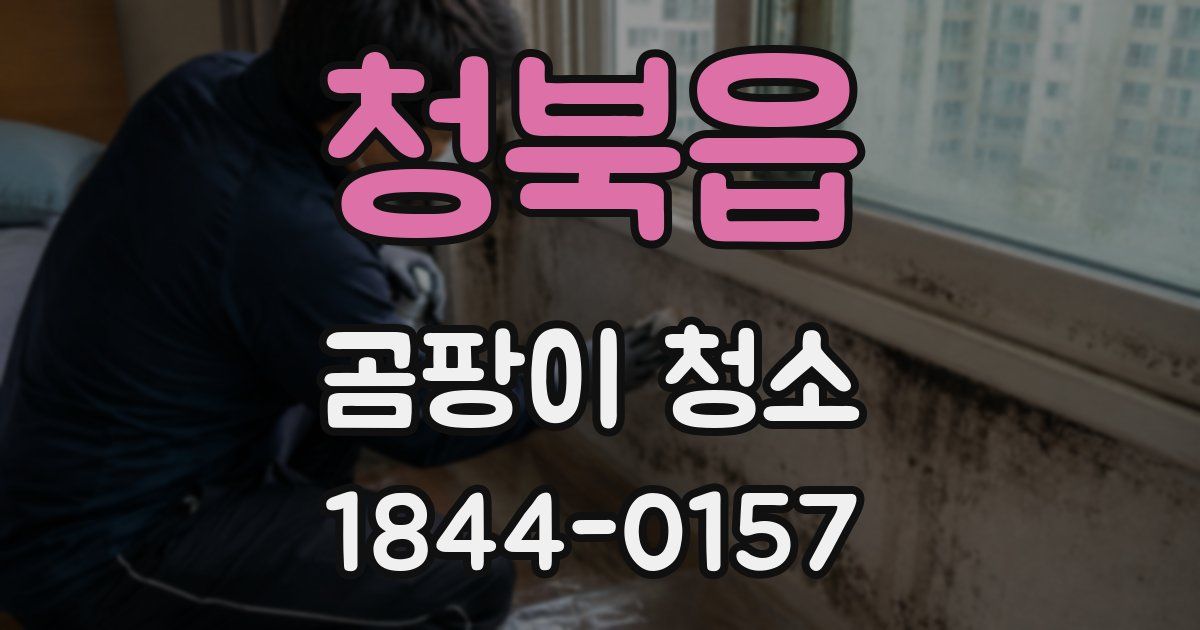 청북읍 곰팡이 청소