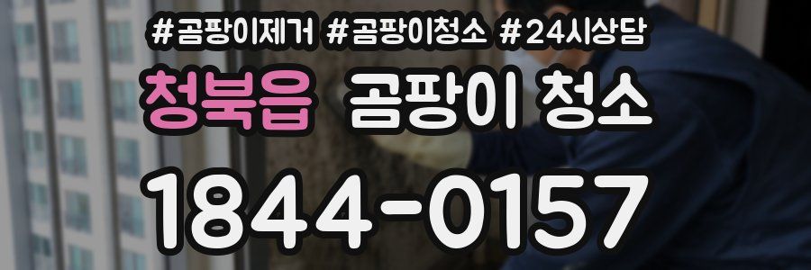 청북읍 곰팡이 청소