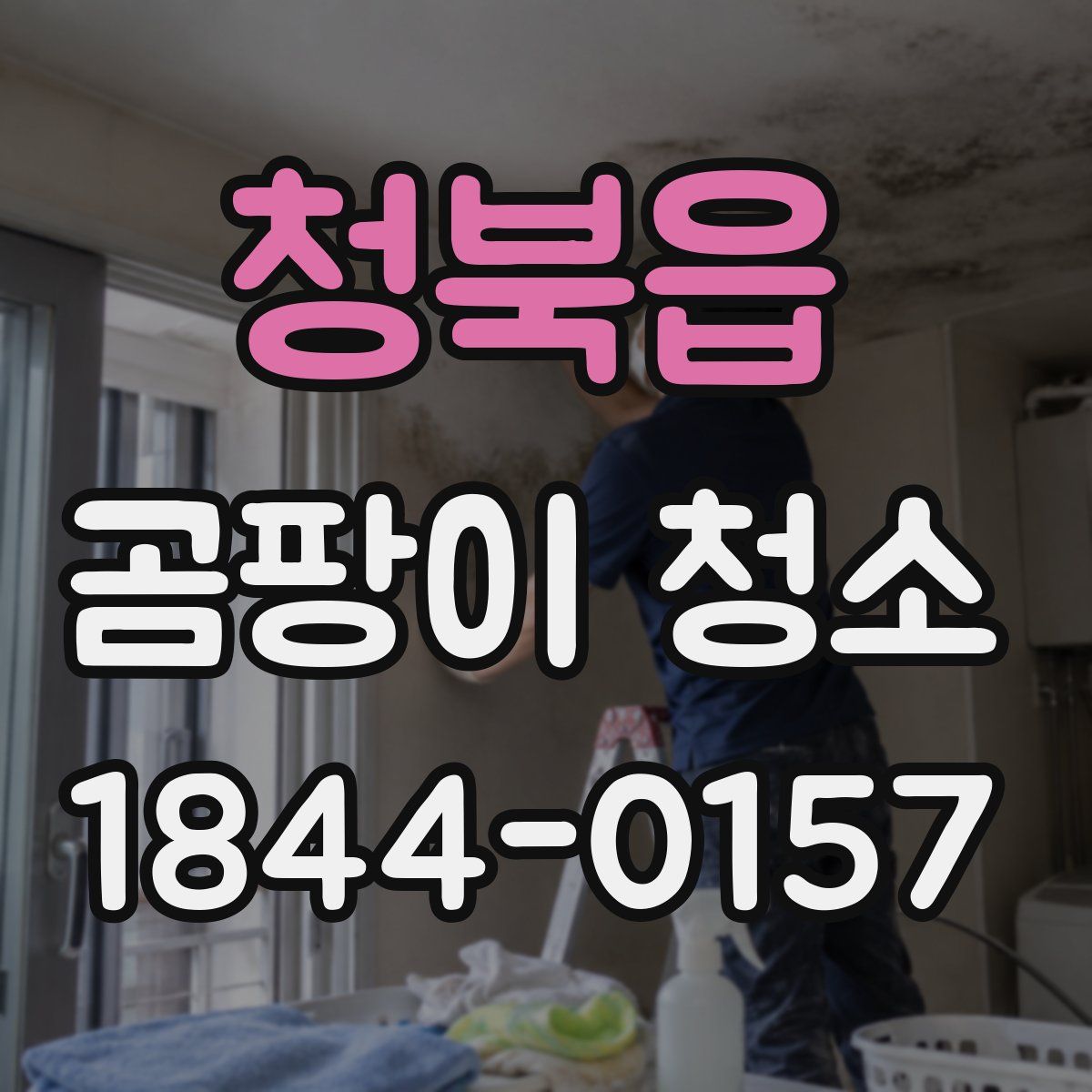 청북읍 곰팡이 청소