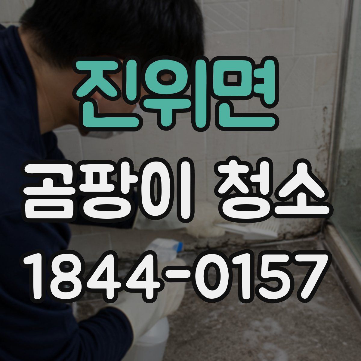 진위면 곰팡이 청소