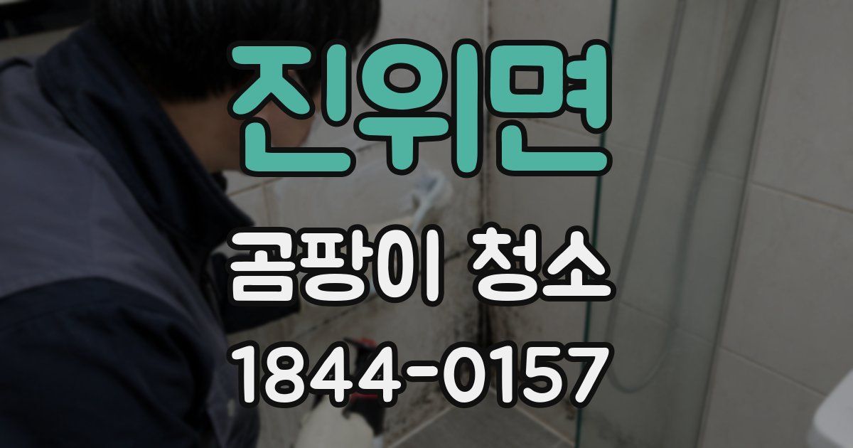 진위면 곰팡이 청소