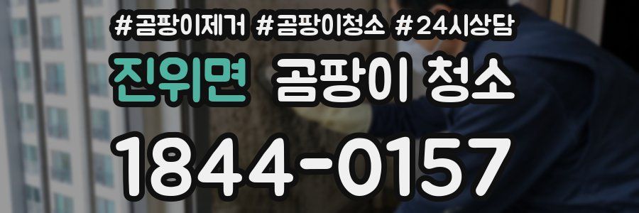 진위면 곰팡이 청소