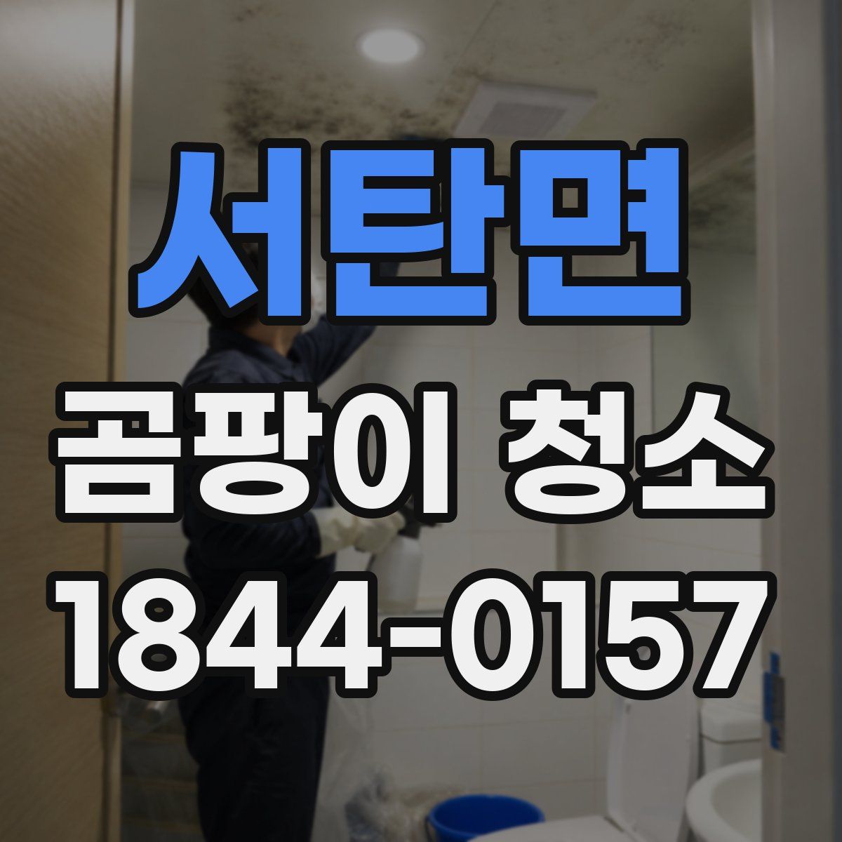 서탄면 곰팡이 청소