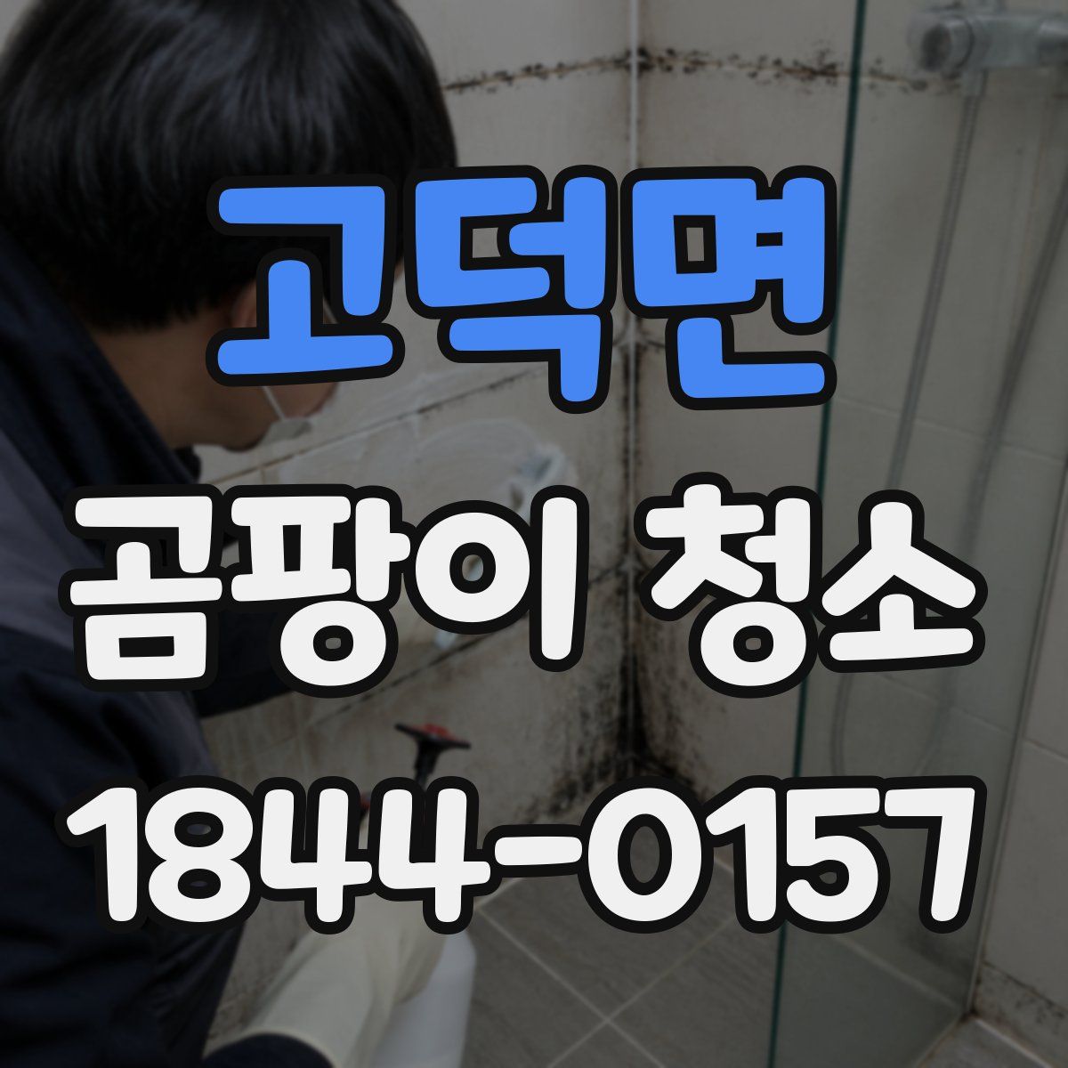 고덕면 곰팡이 청소